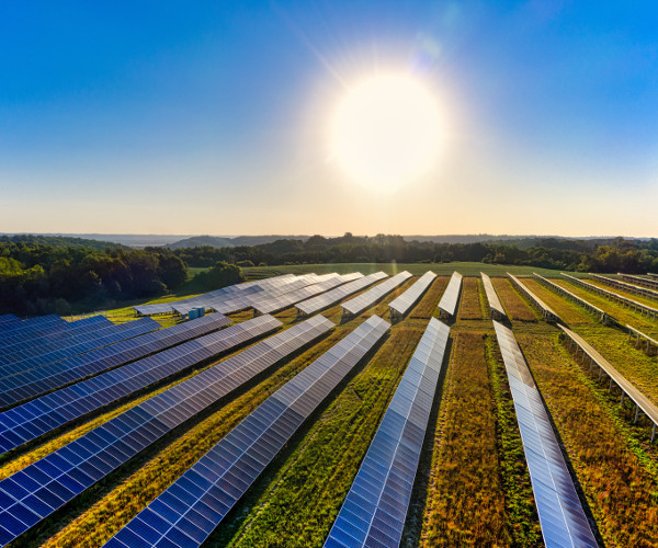 Why Solar? Net Zero And The Power Of Renewable Energy